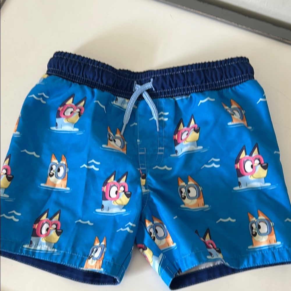 Bluey Kids Swim Shorts
